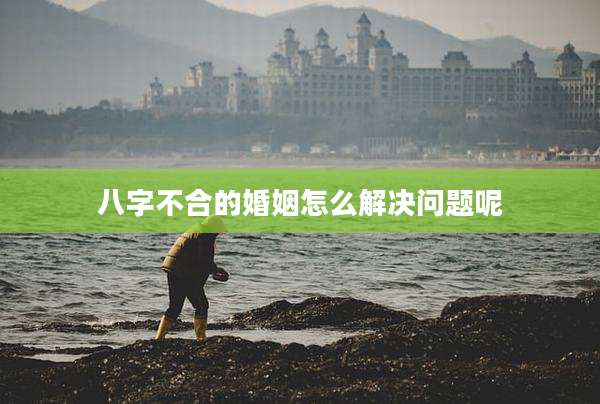 八字不合的婚姻怎么解决问题呢