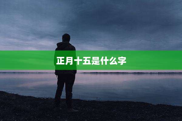 正月十五是什么字