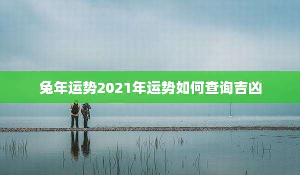 兔年运势2021年运势如何查询吉凶