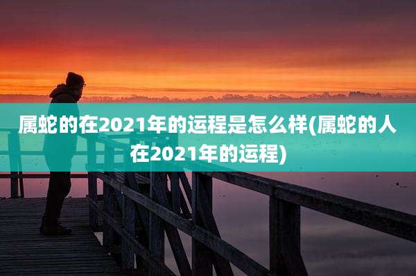 属蛇的在2021年的运程是怎么样(属蛇的人在2021年的运程)
