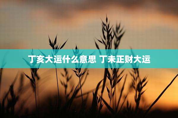 丁亥大运什么意思 丁未正财大运