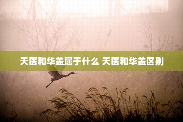 天医和华盖属于什么 天医和华盖区别