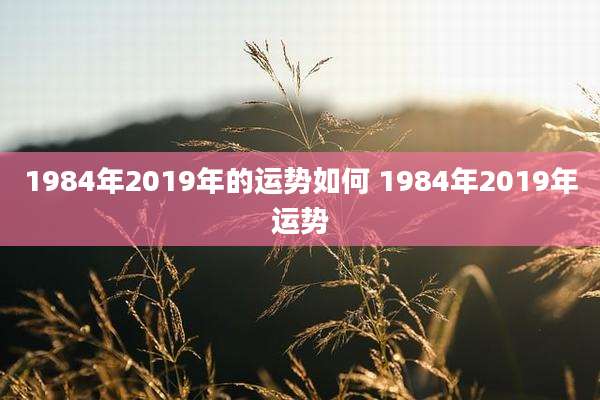 1984年2019年的运势如何 1984年2019年运势