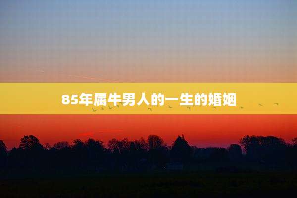 85年属牛男人的一生的婚姻