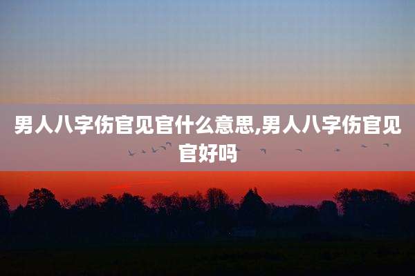 男人八字伤官见官什么意思,男人八字伤官见官好吗