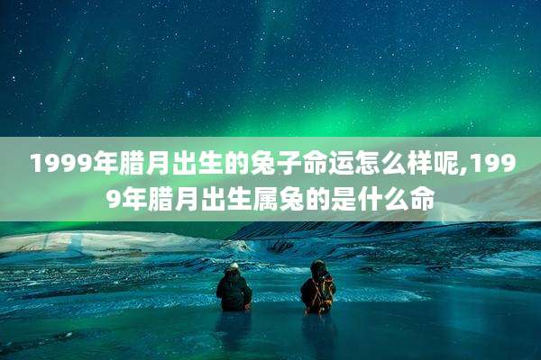 1999年腊月出生的兔子命运怎么样呢,1999年腊月出生属兔的是什么命