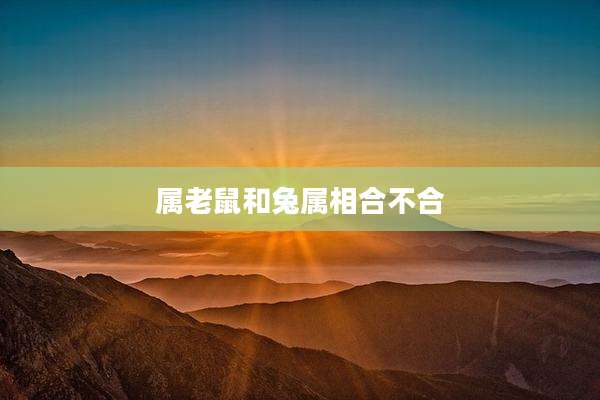 属老鼠和兔属相合不合