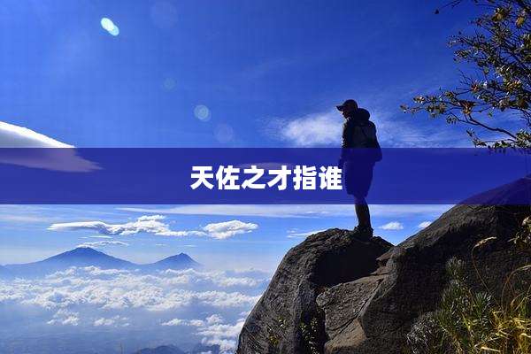 天佐之才指谁