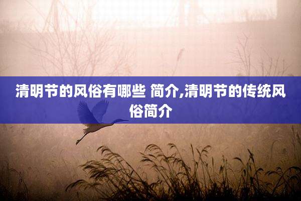 清明节的风俗有哪些 简介,清明节的传统风俗简介