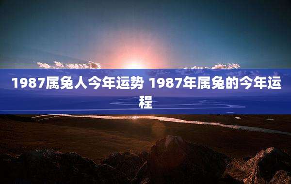 1987属兔人今年运势 1987年属兔的今年运程