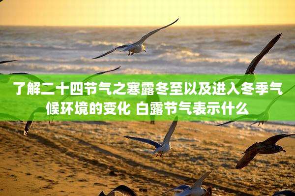了解二十四节气之寒露冬至以及进入冬季气候环境的变化 白露节气表示什么