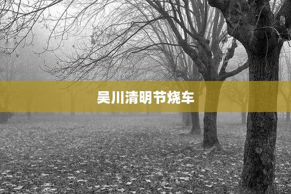 吴川清明节烧车