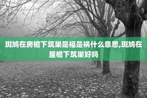 斑鸠在房檐下筑巢是福是祸什么意思,斑鸠在屋檐下筑巢好吗