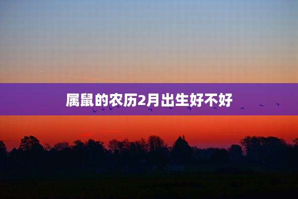 属鼠的农历2月出生好不好
