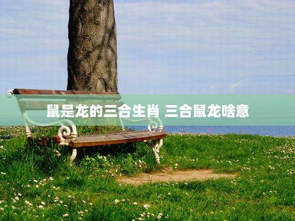 鼠是龙的三合生肖 三合鼠龙啥意