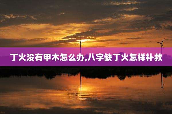 丁火没有甲木怎么办,八字缺丁火怎样补救