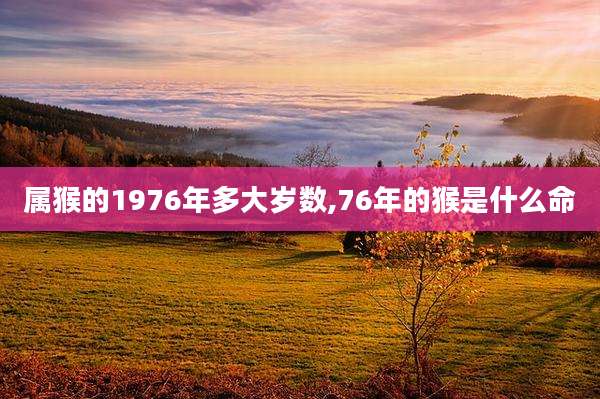 属猴的1976年多大岁数,76年的猴是什么命