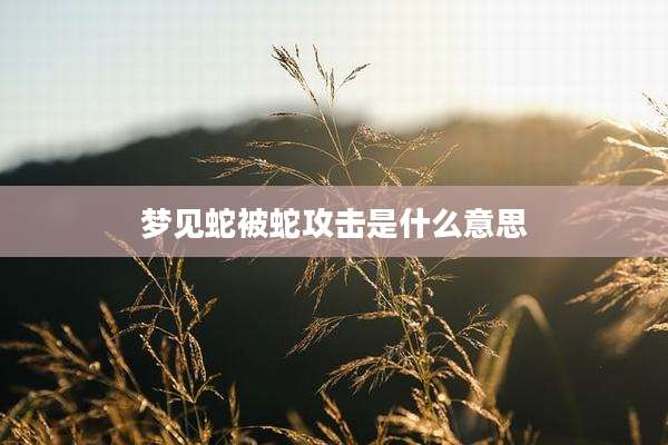 梦见蛇被蛇攻击是什么意思