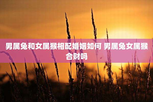 男属兔和女属猴相配婚姻如何 男属兔女属猴合财吗