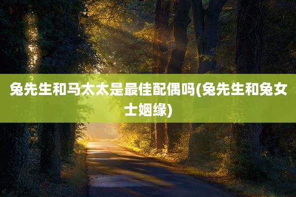 兔先生和马太太是最佳配偶吗(兔先生和兔女士姻缘)