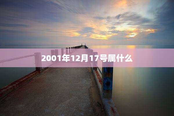 2001年12月17号属什么