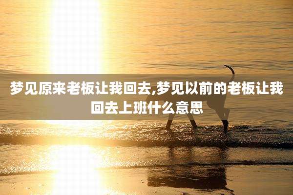 梦见原来老板让我回去,梦见以前的老板让我回去上班什么意思