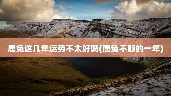 属兔这几年运势不太好吗(属兔不顺的一年)