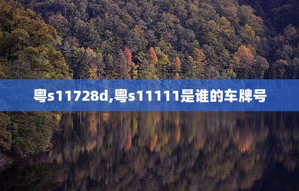 粤s11728d,粤s11111是谁的车牌号