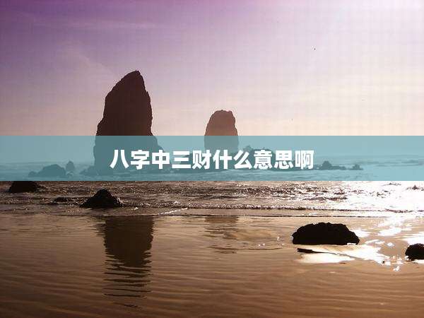八字中三财什么意思啊