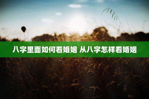 八字里面如何看婚姻 从八字怎样看婚姻