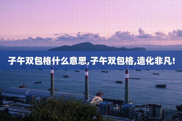 子午双包格什么意思,子午双包格,造化非凡!