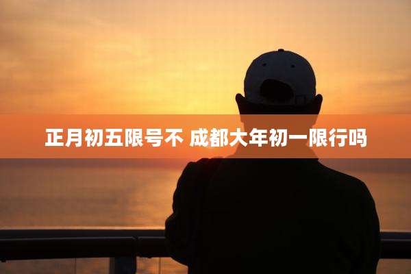 正月初五限号不 成都大年初一限行吗