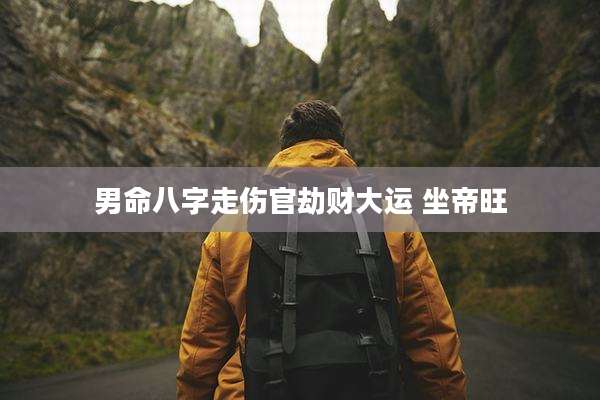 男命八字走伤官劫财大运 坐帝旺