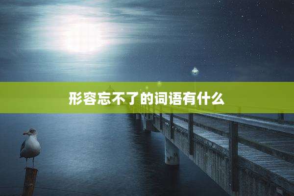 形容忘不了的词语有什么