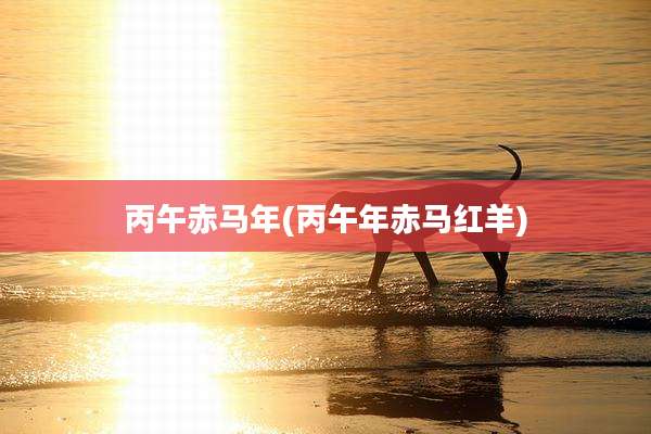 丙午赤马年(丙午年赤马红羊)