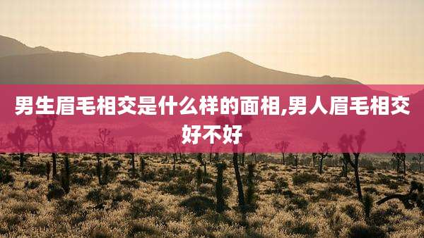 男生眉毛相交是什么样的面相,男人眉毛相交好不好