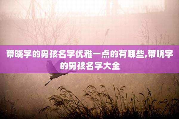 带晓字的男孩名字优雅一点的有哪些,带晓字的男孩名字大全