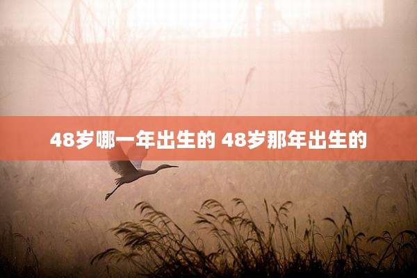 48岁哪一年出生的 48岁那年出生的
