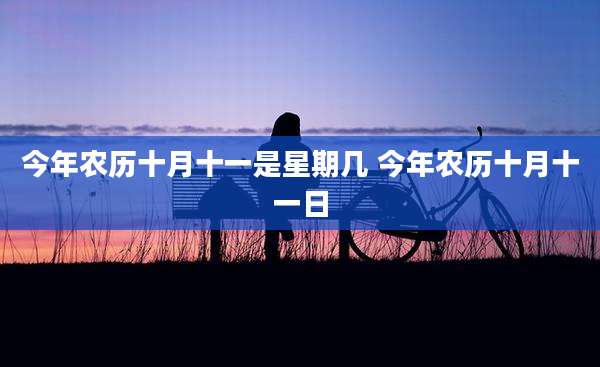 今年农历十月十一是星期几 今年农历十月十一日