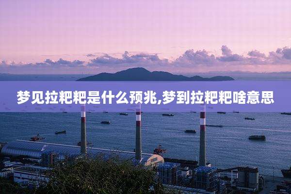 梦见拉粑粑是什么预兆,梦到拉粑粑啥意思
