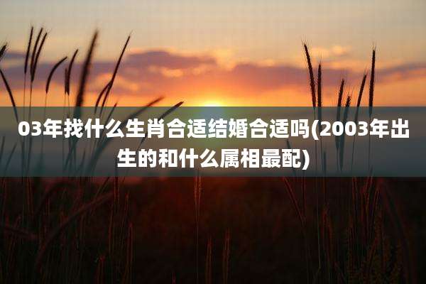 03年找什么生肖合适结婚合适吗(2003年出生的和什么属相最配)