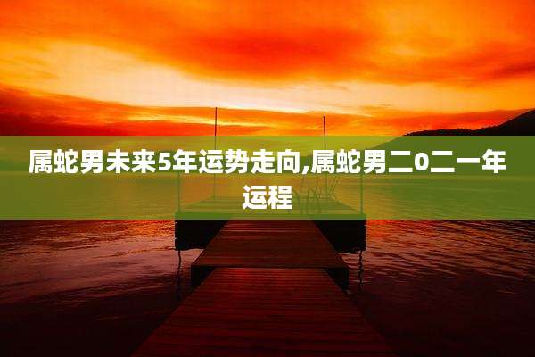 属蛇男未来5年运势走向,属蛇男二0二一年运程
