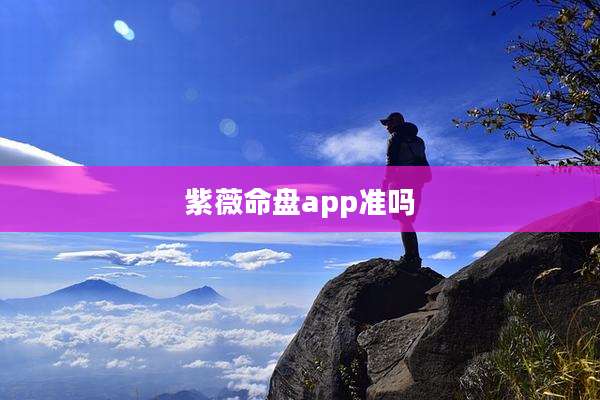 紫薇命盘app准吗