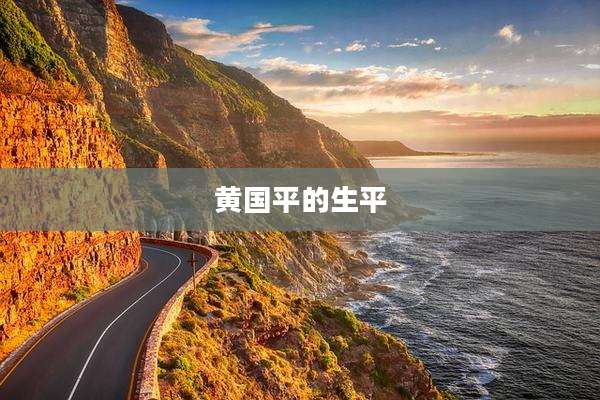黄国平的生平