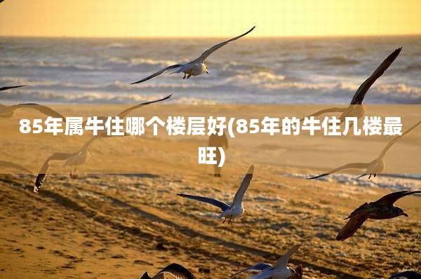 85年属牛住哪个楼层好(85年的牛住几楼最旺)