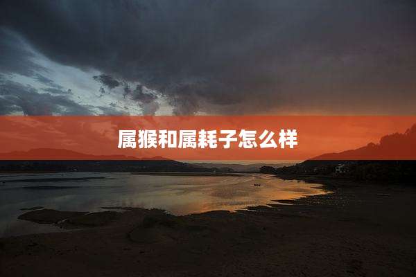 属猴和属耗子怎么样