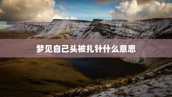 梦见自己头被扎针什么意思