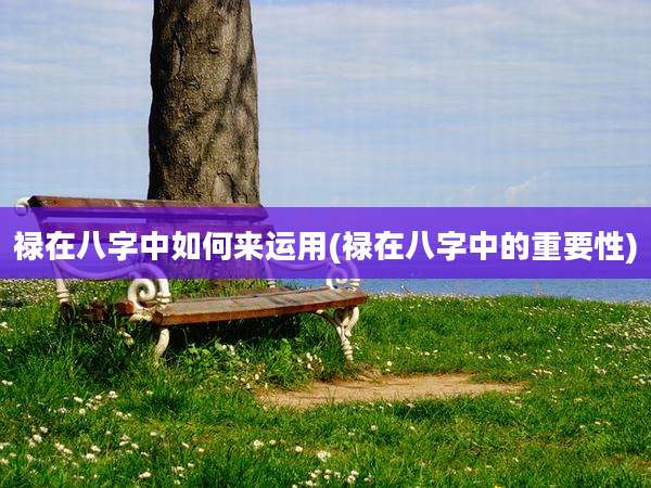 禄在八字中如何来运用(禄在八字中的重要性)