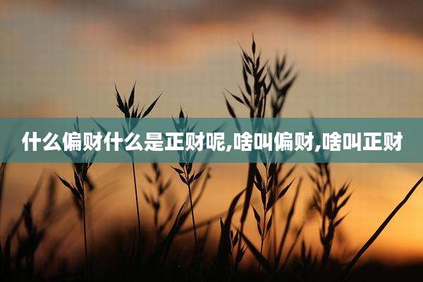 什么偏财什么是正财呢,啥叫偏财,啥叫正财