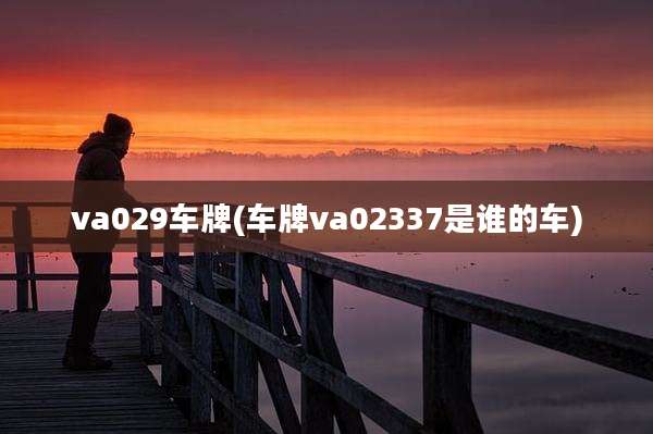 va029车牌(车牌va02337是谁的车)